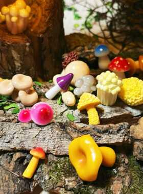 写实仿真食玩蔬菜模型小蘑菇香菇羊肚菌玩偶微景观摆件迷你装饰品