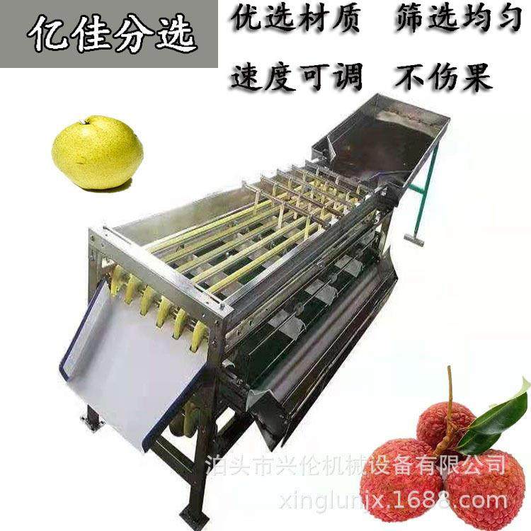 草菇筛选机 杏子分果机 牛奶果分级机 小型轨道式水果分选机,淘宝优惠券,粉丝福利购,淘宝优惠卷