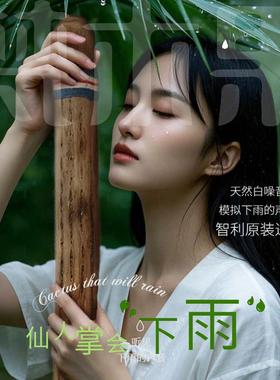 梵木果智利进口雨棍仙人掌音疗雨棒拟雨声筒冥想疗愈小众乐器礼物