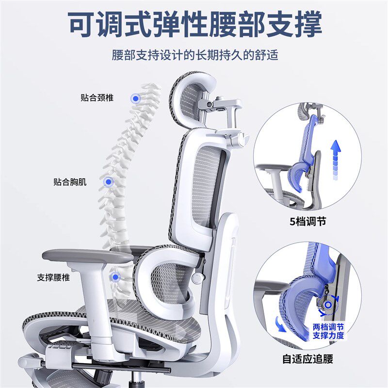 朗域X265撑腰椅人体工学椅久坐舒适办公室椅子电竞可躺电脑椅座椅,淘宝优惠券,粉丝福利购,淘宝优惠卷