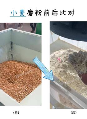 大米粉碎机大豆稻谷超细打粉设备芝麻核桃花生坚果菜籽饼磨粉机