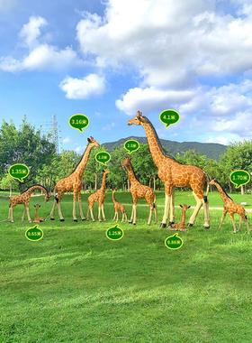 户外仿真动物长颈鹿摆件大型玻璃钢雕塑幼儿园林景观落地造景装饰