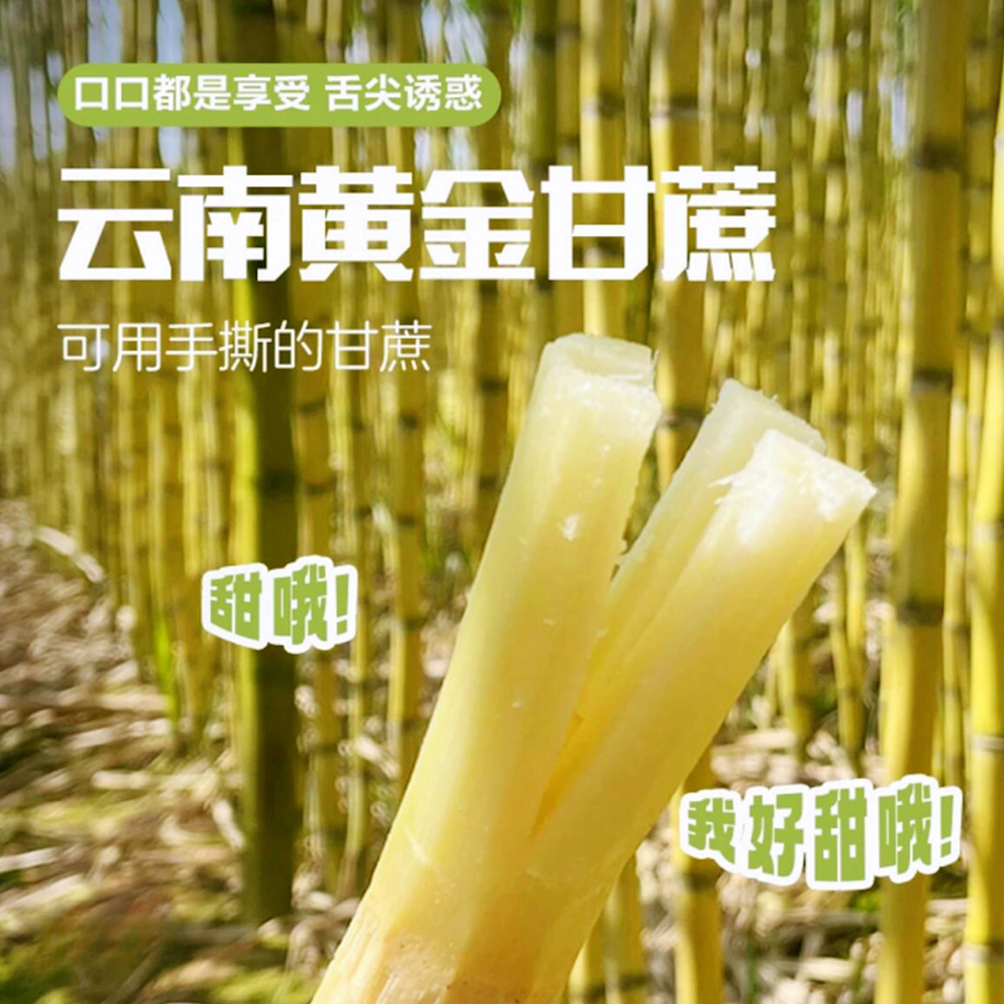 正宗云南黄金甘蔗新鲜批发10斤当季水果脆甜多汁黄皮甘蔗农家自种,淘宝优惠券,粉丝福利购,淘宝优惠卷