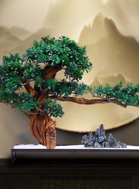 酒店大堂装饰造型美人迎客松微景观摆件彷真彷真植物盆景桌面玄关