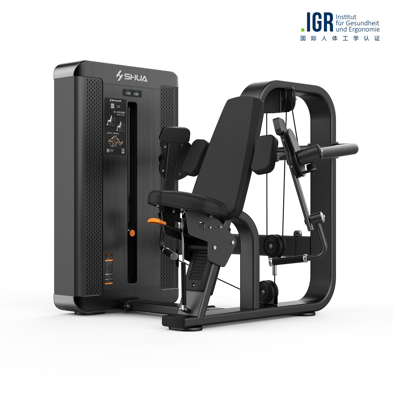 舒华商用插片式专业训练健身房器材家力量站G8825 肱二头肌训练器,淘宝优惠券,粉丝福利购,淘宝优惠卷