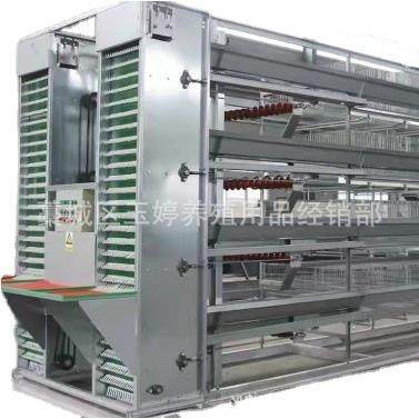 供应蛋鸡笼自动捡蛋机自动层叠蛋鸡笼 捡蛋带蛋集蛋一体机热镀锌,淘宝优惠券,粉丝福利购,淘宝优惠卷