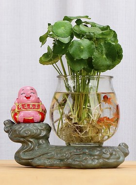 招财摆件家c用财神水培绿萝花瓶花器客厅酒柜玄关办公商场桌面摆