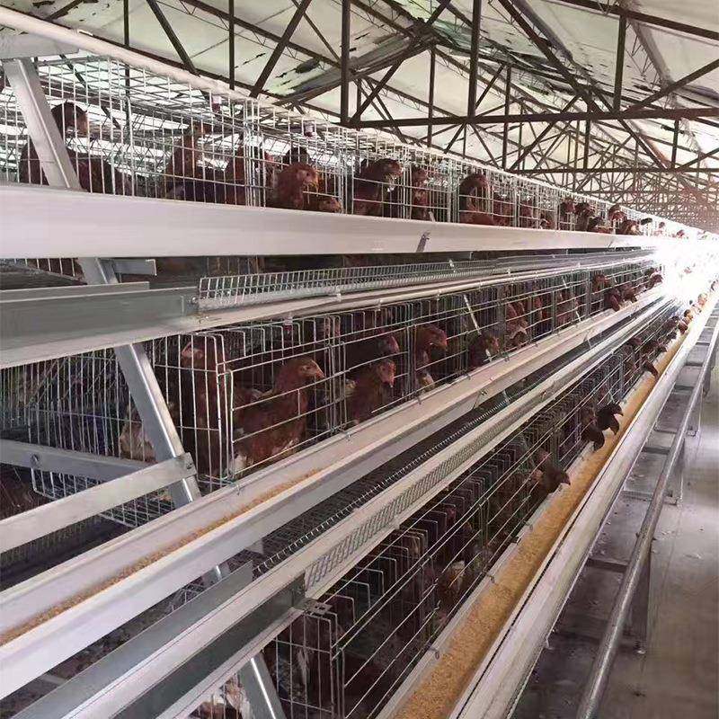 生产全自动肉鸡笼层叠式框架肉鸡笼养殖设备常年出口现货,淘宝优惠券,粉丝福利购,淘宝优惠卷
