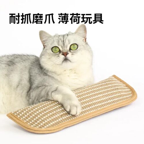 【下单立减30】宠物猫抓垫猫薄荷玩具剑麻耐磨猫抱枕猫自嗨玩具 - 图3