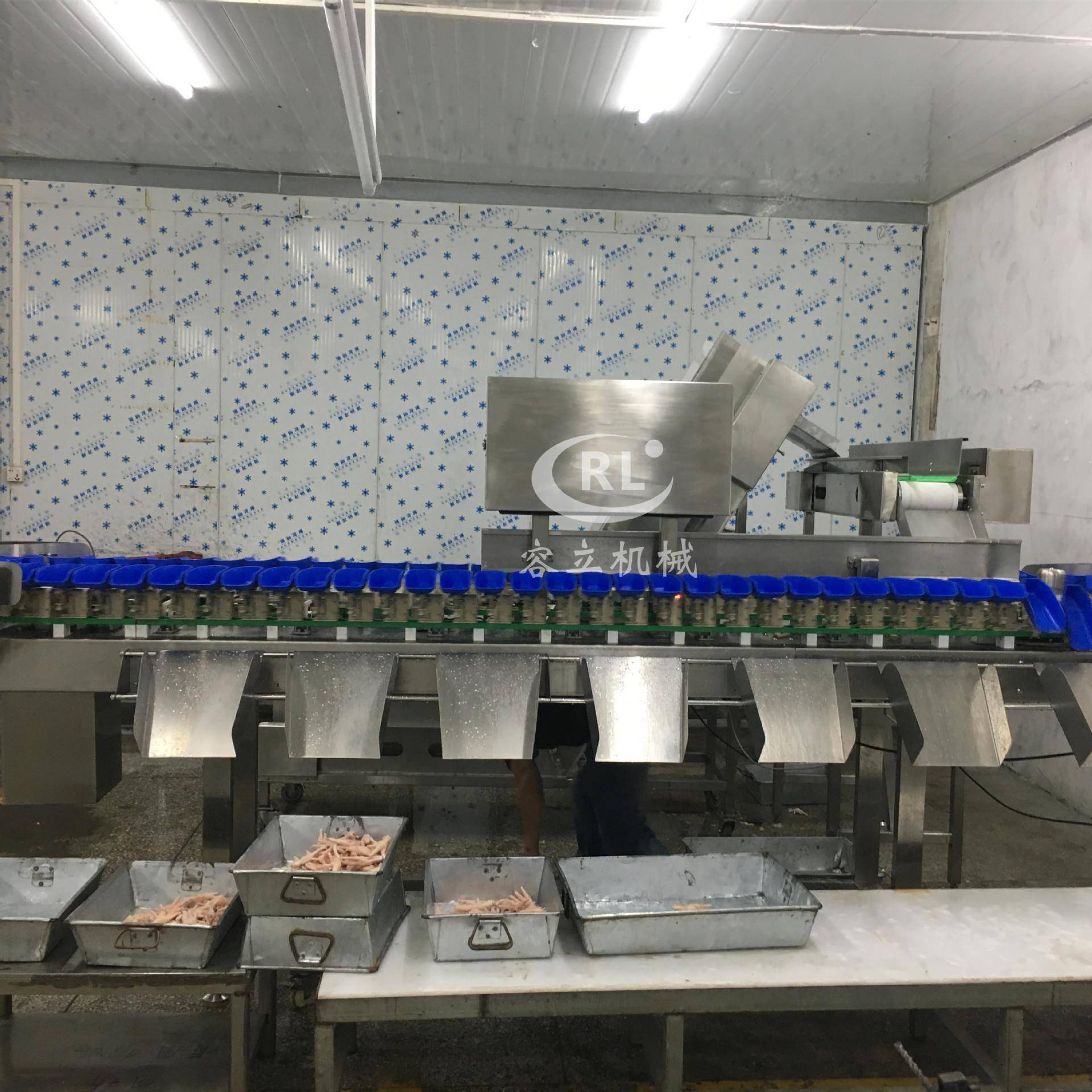 供应八爪鱼重量分选机料盒式大蒜重量分级机商用鱿鱼须分选机 - 图0