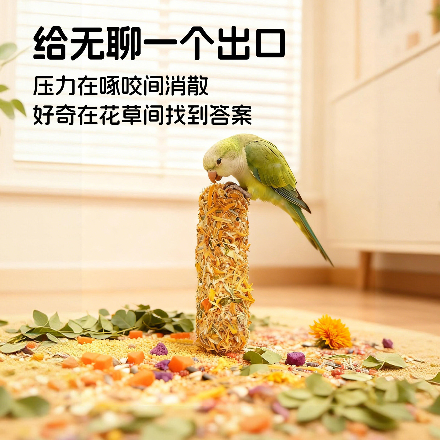 新派宠物鹦鹉谷物棒坚果草籽花草磨牙棒玄凤鸟零食磨喙解压啃咬棒,淘宝优惠券,粉丝福利购,淘宝优惠卷