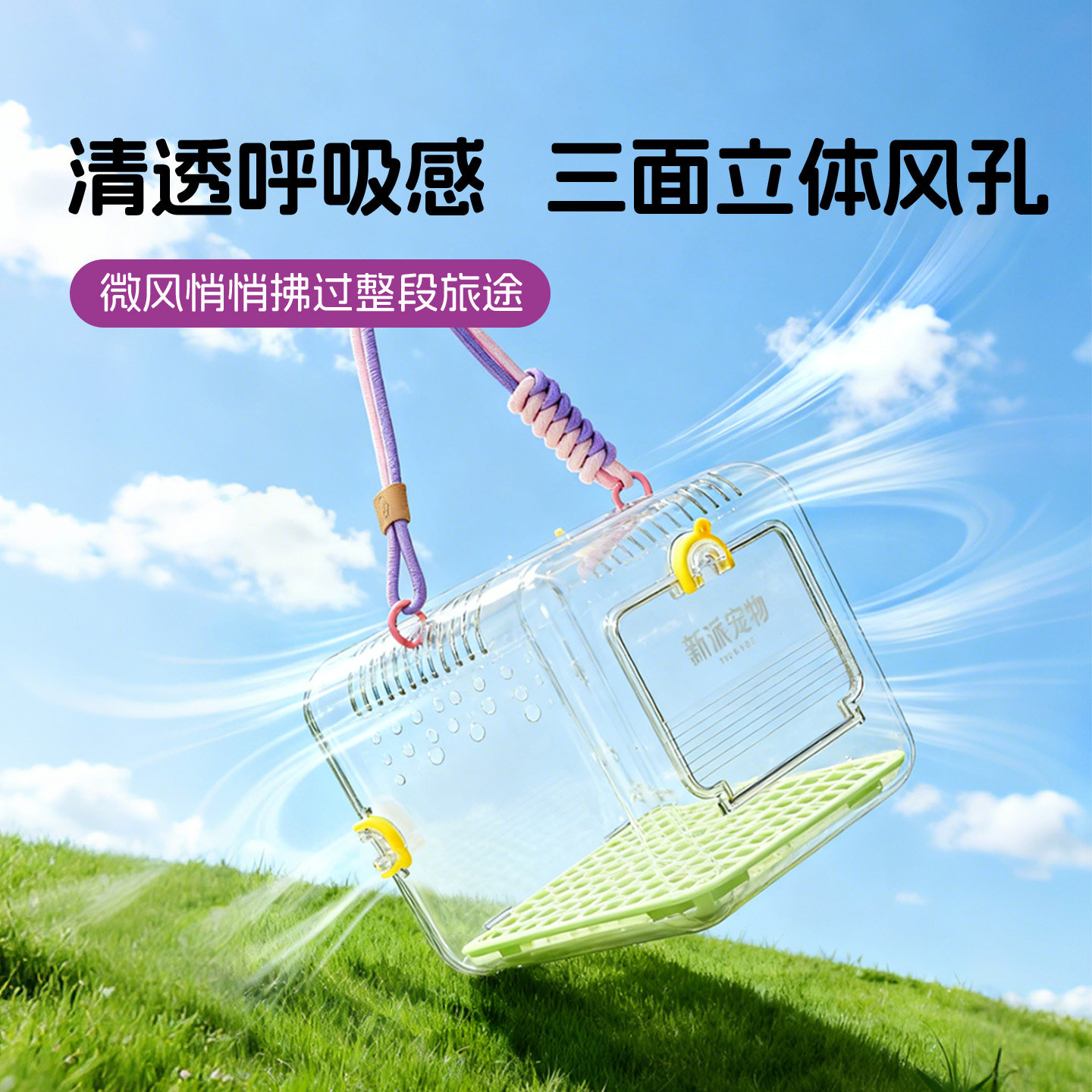 新派宠物仓鼠外带笼高清透亮防啃耐磨金丝熊蜜袋鼯小宠手提外出笼,淘宝优惠券,粉丝福利购,淘宝优惠卷