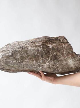 彷石松香石造景网红橱窗摆件装饰园林庭院道具塑石假山