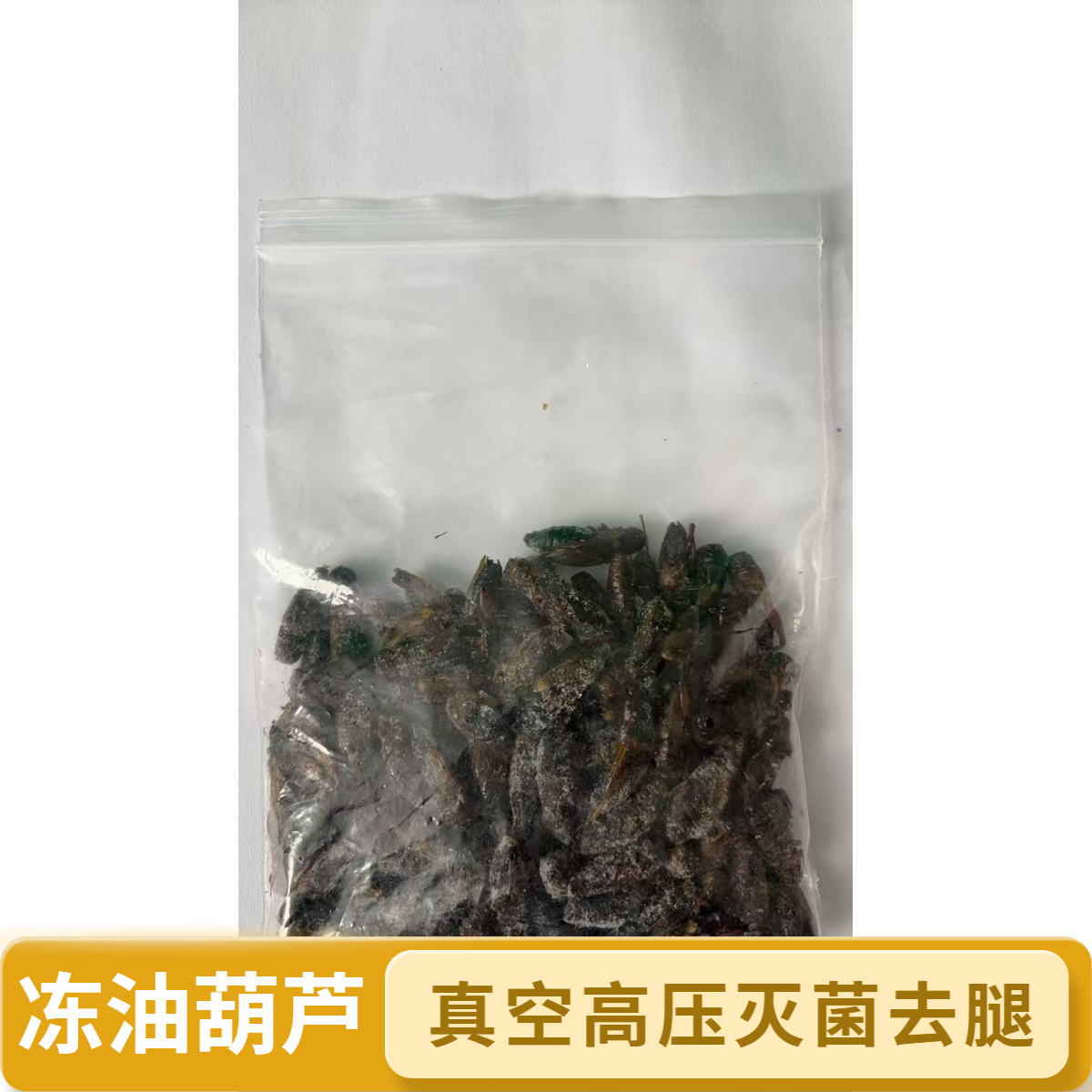 鲜冻蟋蟀冻干蟋蟀冻品冷冻蟋蟀守宫爬宠活冻蟋蟀食用级别绿色卫生,淘宝优惠券,粉丝福利购,淘宝优惠卷