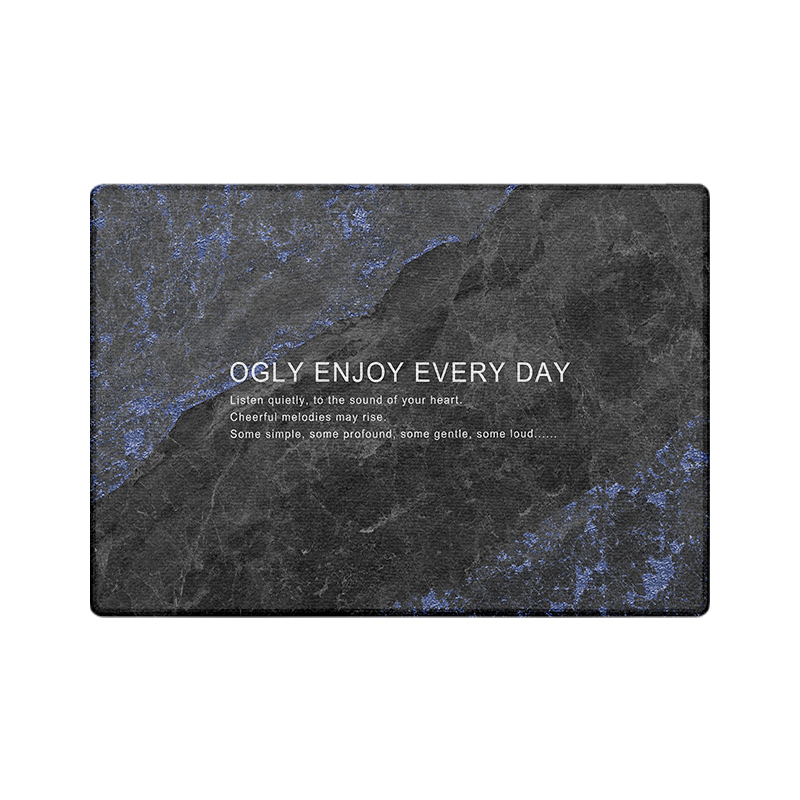 经典入户门地垫2023升级款入门口地垫地毯高端耐脏高级入户门垫 - 图3