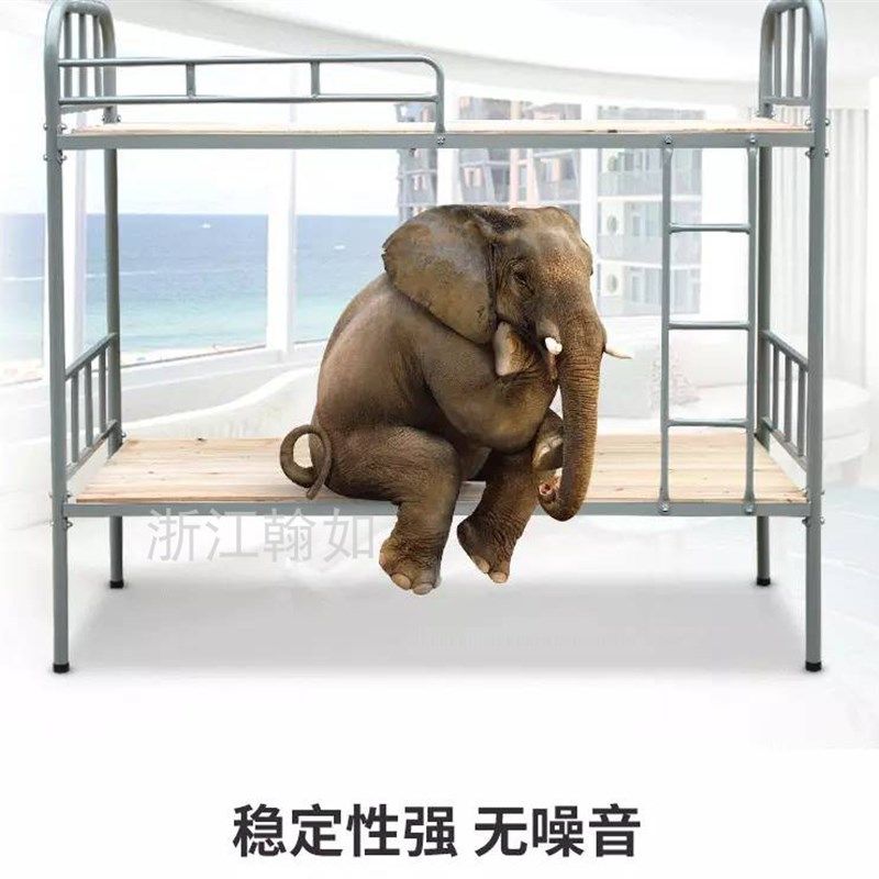 学生宿舍上下铺床双层型材床公寓床工地高低床员工钢制铁艺铁架床,淘宝优惠券,粉丝福利购,淘宝优惠卷