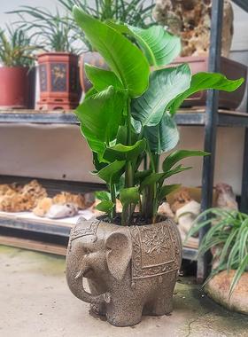 大象花盆摆件花园庭院阳台小院布置户外门口小象动物雕塑装饰造景