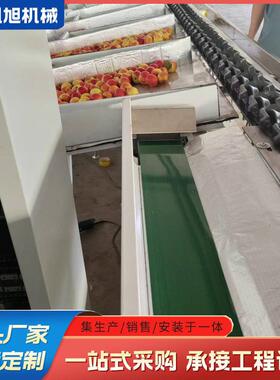 凯旭果蔬分拣设备 贝贝南瓜双线分选机 甜橙柿子视觉糖度检测选机