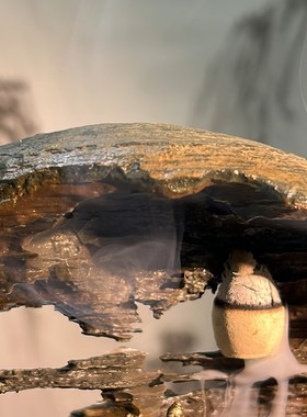 灵璧奇石龙i胆石办公室客厅鱼缸摆件