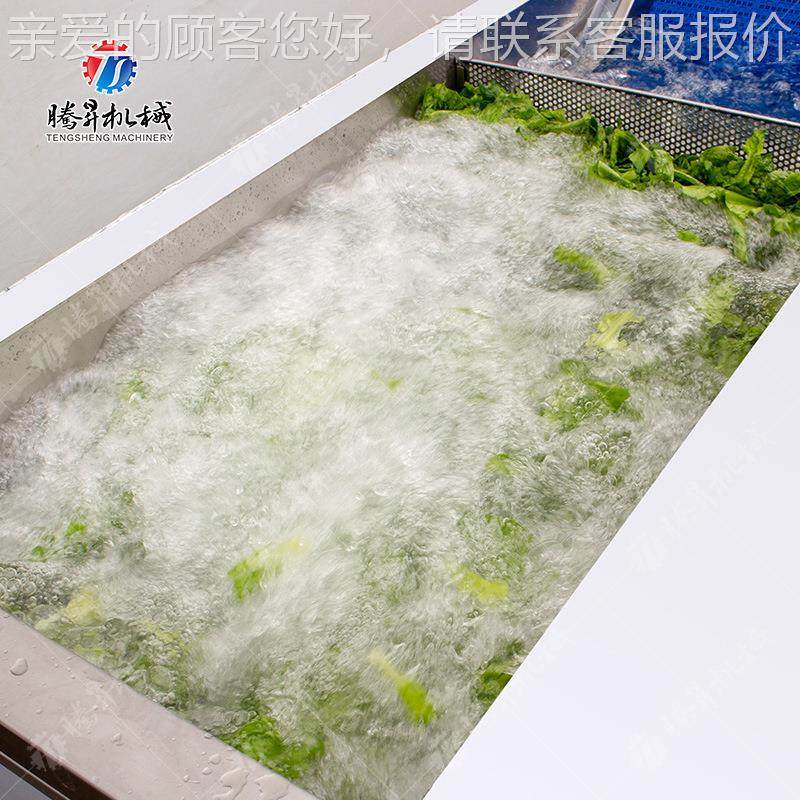 腾昇工厂产枸杞清机多功能叶RIU菜类清洗 机自 洗机器尺寸可定,淘宝优惠券,粉丝福利购,淘宝优惠卷