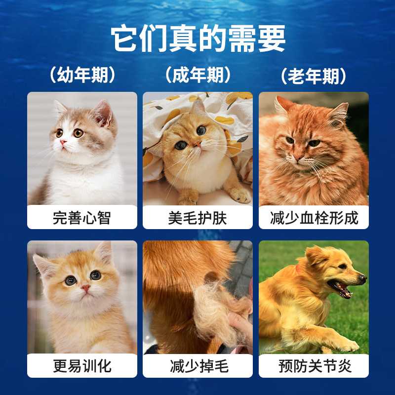 宠物猫咪鱼油猫用狗狗犬专用美毛靓毛减少掉毛护肤深海鱼肝油用品,淘宝优惠券,粉丝福利购,淘宝优惠卷