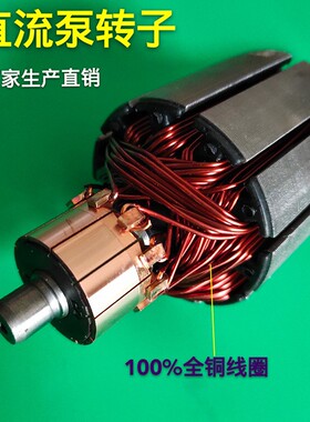 潜水泵转子直流配件12V24V48V60V72伏两用通用一二寸铜线电机线圈