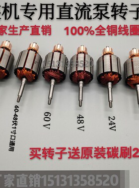 潜水泵转子 直流泵配件12V24V48V60伏转子通用一二寸铜线电机线圈