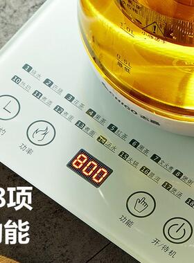 110V养生壶家用多功能全自动电热玻璃壶办公室小型烧水壶花茶