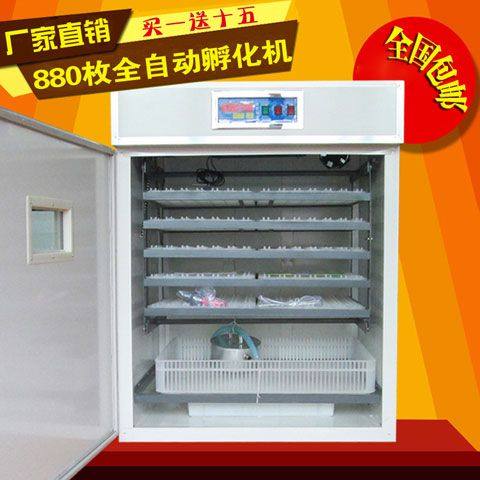 704孵化箱新款全自动孵化箱小型孵蛋器鸽子孵化机包邮家用孵化器,淘宝优惠券,粉丝福利购,淘宝优惠卷