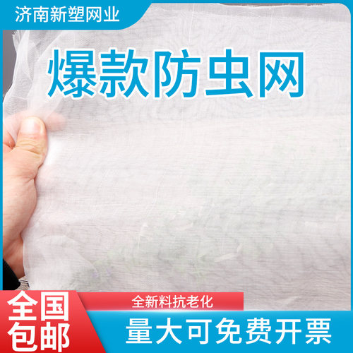 农用防虫网纱网菜地大棚网养殖场猪场防蚊苍蝇果树防鸟加密加厚网 - 图1