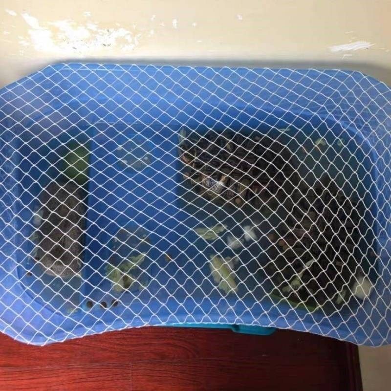 鱼网罩塑料箱网罩鱼缸防跳网乌龟箱防逃网圆形鱼缸防鱼跳网鱼池防,淘宝优惠券,粉丝福利购,淘宝优惠卷