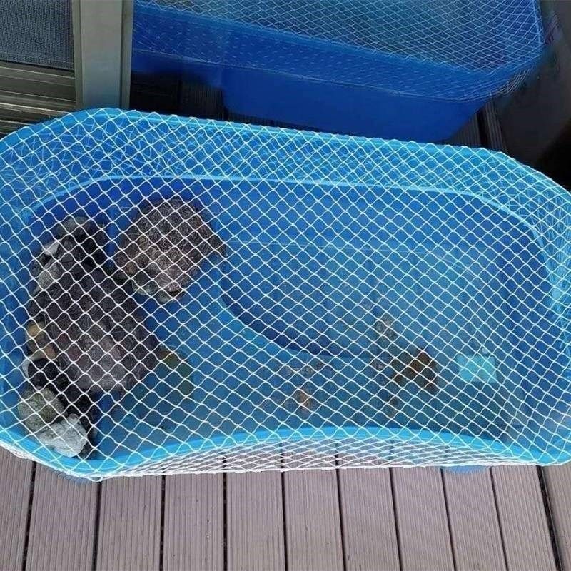 鱼网罩塑料箱网罩鱼缸防跳网乌龟箱防逃网圆形鱼缸防鱼跳网鱼池防,淘宝优惠券,粉丝福利购,淘宝优惠卷