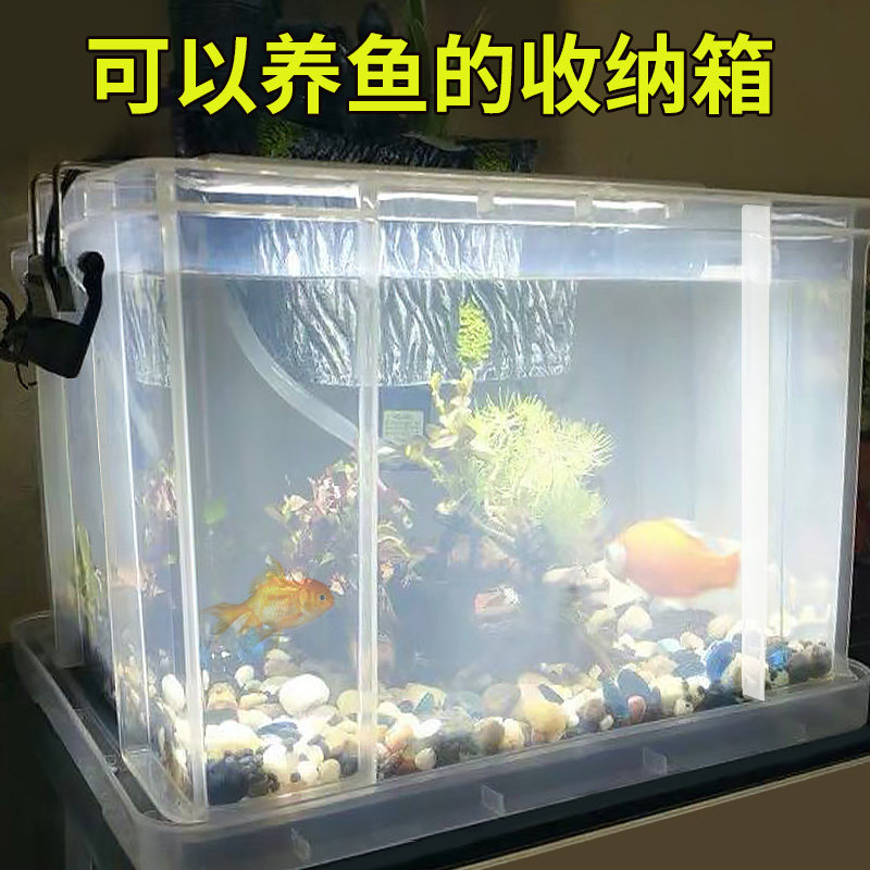 pp塑料透明水箱养鱼箱大号长方形家用养殖龟箱整理箱养宠物的箱子,淘宝优惠券,粉丝福利购,淘宝优惠卷