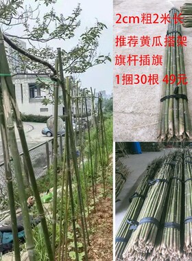 竹竿菜园搭架豆角黄瓜番茄爬藤蔬菜大棚支架彩旗米米竹子支撑杆