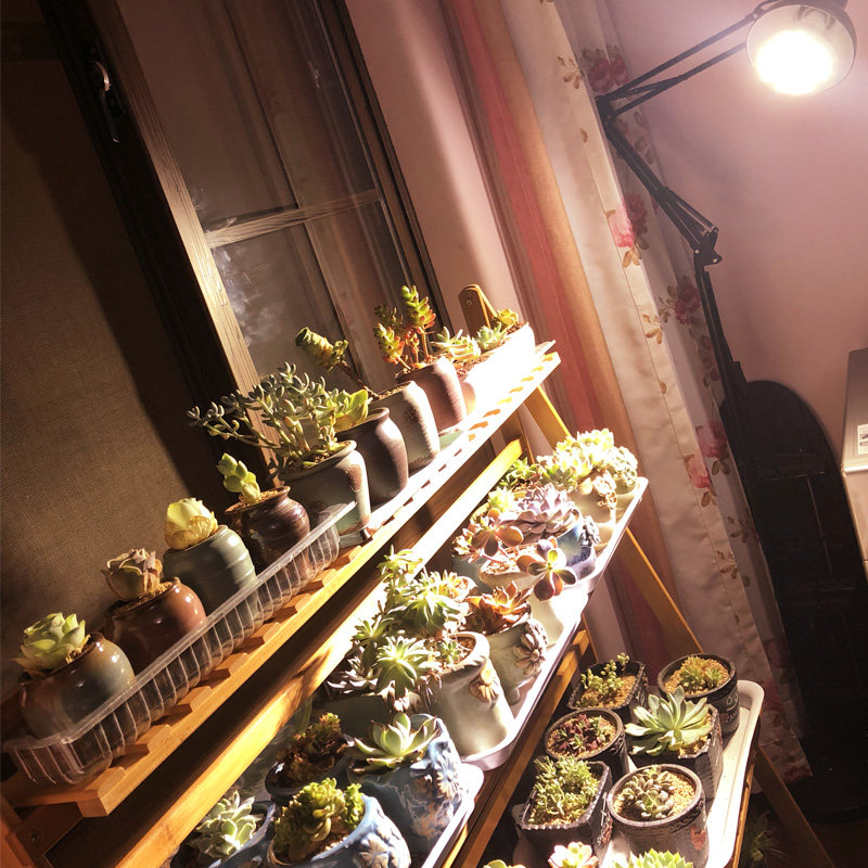 多肉补光灯 家用生长灯全光谱LD仿太阳室蔬菜水草卉灯落地,淘宝优惠券,粉丝福利购,淘宝优惠卷