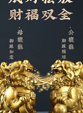 铜皮秀带来财富和宝藏饰品客厅对男女八方来彩铜皮秀办公家居店业