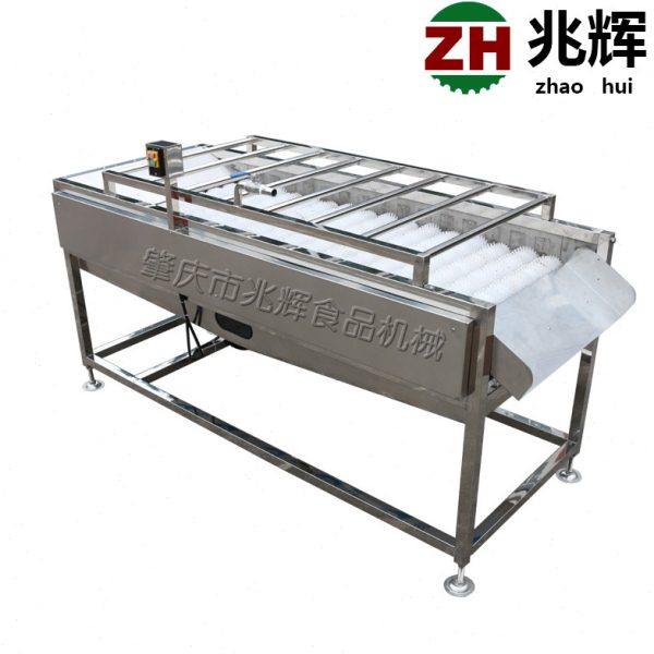 全自动桔子清洗机 连续软毛刷喷淋清洗机 不锈钢材质洗果设备,淘宝优惠券,粉丝福利购,淘宝优惠卷