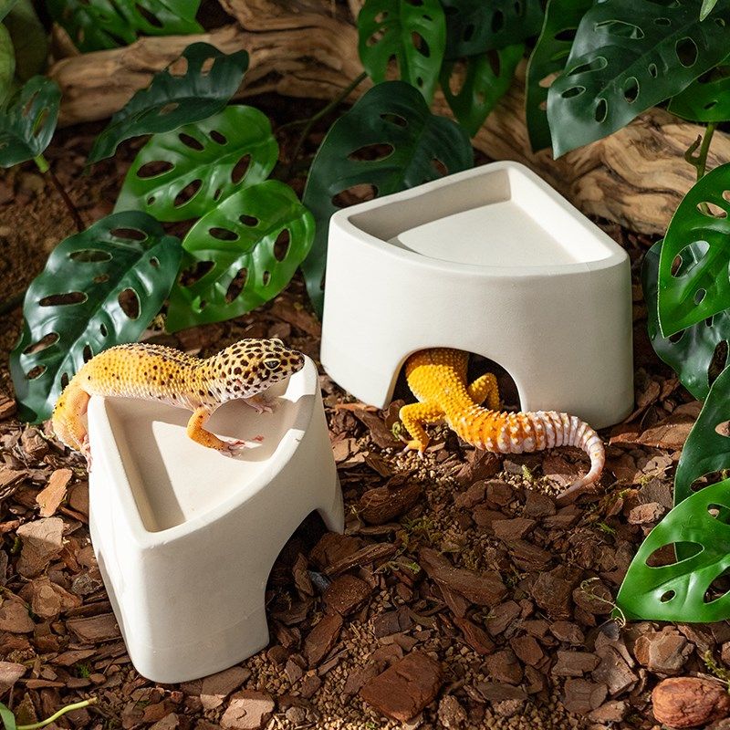 爬虫加湿躲避陶瓷水盆直角半封闭躲避窝洞穴蜘蛛角蛙保湿洗澡盆,淘宝优惠券,粉丝福利购,淘宝优惠卷