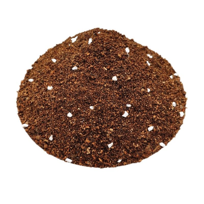 长寿花专用土家庭园艺种植土弱酸性盆栽花卉通用型营养土绿植新土,淘宝优惠券,粉丝福利购,淘宝优惠卷