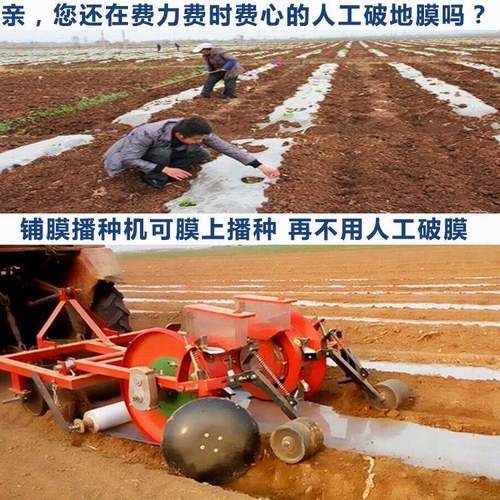 朔州谷子播种机四轮车带高粱点播机新型绿豆红豆种植机玉米点播机 - 图2