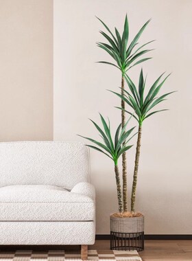 仿真绿植剑麻铁树大型装饰假绿植室内办公室商场落地