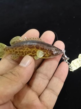 3D立体鱼模型钥匙扣挂件翘嘴鱤鱼鳜鱼马口鳎鱼鲈鱼手机挂件装饰品