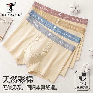 【啄木鸟】彩棉10A抗菌高端系列内裤3条