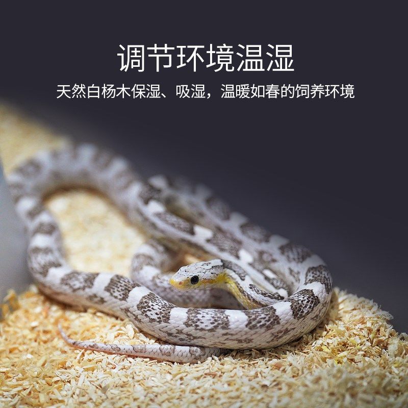 爬宠蛇专用除臭垫材白杨木屑家养宠物米蛇饲养箱垫材颗粒爬虫垫料,淘宝优惠券,粉丝福利购,淘宝优惠卷