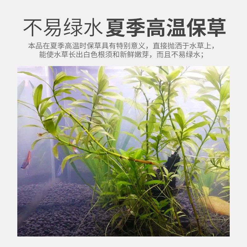 水草状根颗粒水产养殖龙虾塘专用水草长根护草宝生根发芽高温保草,淘宝优惠券,粉丝福利购,淘宝优惠卷