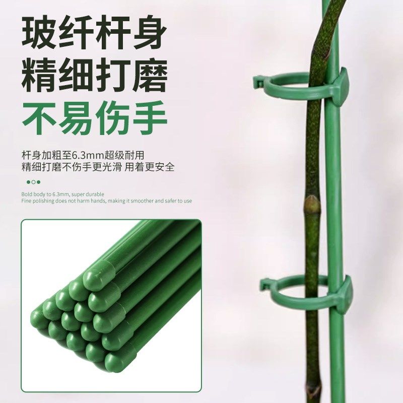 西红柿番茄专用支撑杆园艺花架爬藤支撑杆放倒伏支架防倒固定支架,淘宝优惠券,粉丝福利购,淘宝优惠卷