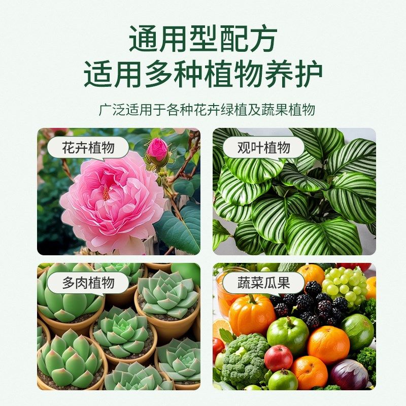 施可丰缓释营养棒家用盆栽植物通用型养花卉绿植多肉懒人长效缓释,淘宝优惠券,粉丝福利购,淘宝优惠卷