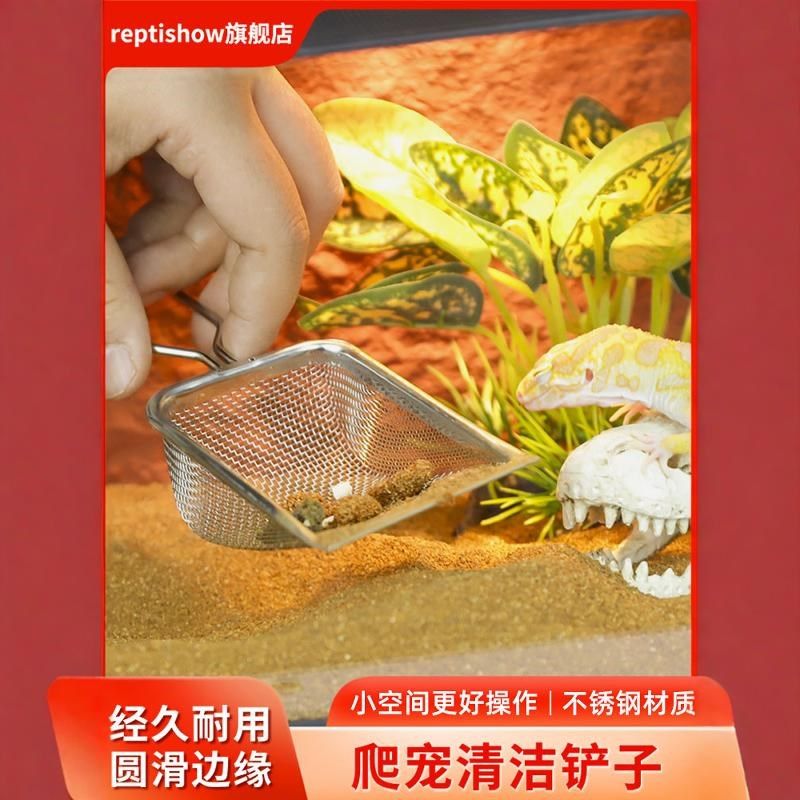 爬宠饲养箱清洁铲迷你小号不锈钢漏沙铲爬虫钙沙守宫蜥蜴粪便清理,淘宝优惠券,粉丝福利购,淘宝优惠卷