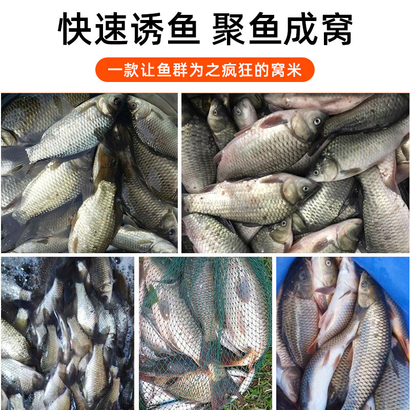 钓鱼打窝米神酒米底窝料鱼饵料野钓黑坑诱鱼促食剂鲫鱼鲤鱼草鱼,淘宝优惠券,粉丝福利购,淘宝优惠卷