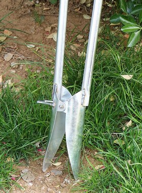 德国进口栽苗器移苗器万能种辣椒苗神器移植器蔬菜农用工具手动种